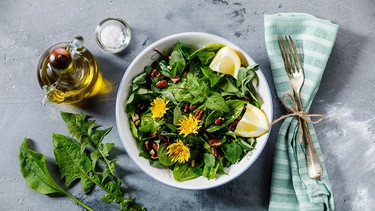 Salat mit Nesselblättern und Löwenzahn: Biohacker achten sehr auf ihre Ernährung | Bild: pa/dpa/The Picture Pantry | Lisovskaya Natalia