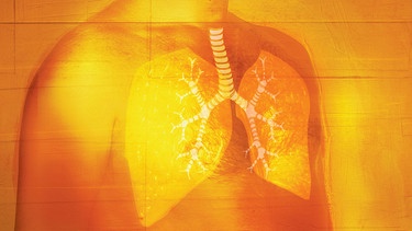 Blick auf Lungen eines Mannes mit durchsichtiger Haut | Bild: picture alliance / Ikon Images | Darren Hopes