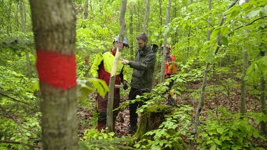 Waldarbeiter ringeln Bäume | Bild: BR