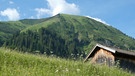 Farbenprächtiger Bergsommer im Berwanger Tal  | Bild: BR; Georg Bayerle