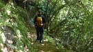 Wandern auf dem Vellauer Felsenweg bei Meran  | Bild: BR; Andreas Pehl