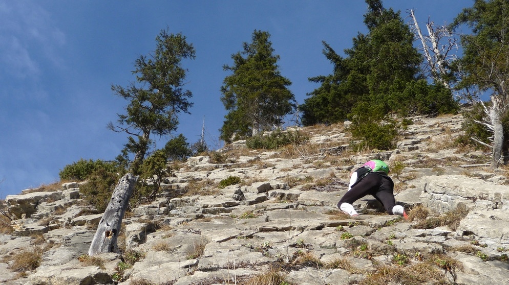 Klettern beim Aggenstein und Grünten | Bild: BR; Georg Bayerle