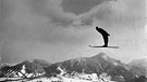 Verfallene Skisprungschanzen im bayerischen Oberland | Bild: Franz Mettal