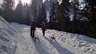 Rodeln Gampenalm: Aufstieg büer den Winterwanderweg von der Zanser Alm mit den Geislerspitzen im Blick | Bild: BR/Ulrike Nikola