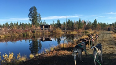Husky-Tour in Finnland: An der Hütte im Hintergrund machen wir eine kleine Pause. | Bild: BR/Petra Martin