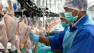 Arbeiter in der Suguna Chicken Factory in Coimbatore / Indien. | Bild: BR/Celluloid Fabrik/WDR/Jens Mattner