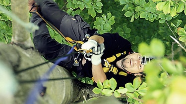 Jan Haft klettert im Baumversteck. | Bild: BR/Werner Schuessler