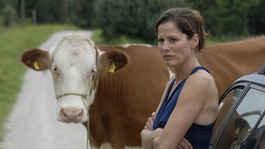 Eine Kuh versperrt Annalenas (Heidrun Gärtner) Weg aus Lansing. | Bild: BR/Marco Orlando Pichler