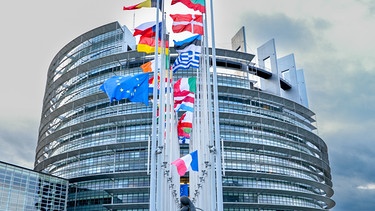 Das EU-Parlament in Straßburg. | Bild: taglicht media GmbH/Europäische Union 2024/Michel Christen
