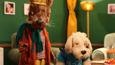 Von links: der Gast Wolf, Aufnahmeleiter Hund und der Gast Schaf im Wohnzimmer. | Bild: BR/Florian Oswald