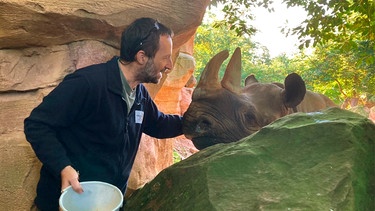 Dr. Viktor Molnár ist seit 2014 leitender Tierarzt im Erlebnis-Zoo Hannover. Der gebürtige Ungar hat nach seinem Veterinär-Studium viele Jahre im Budapester Zoo gearbeitet. Jetzt ist er in Hannover verantwortlich für fast 2.000 Tiere aus über 180 Arten. | Bild: NDR/Doclights 2021