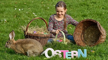 Ein Mädchen sitzt in einer Wiese. Vor ihr ein eine Schrift Ostern. Dazu ein Hase und gefärbte eier im Bild | Bild: picture-alliance/dpa
