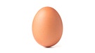 Ein Ei freigestellt vor weißem Hintergrund. | Bild: stock.adobe.com/Pineapple studio