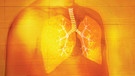 Blick auf Lungen eines Mannes mit durchsichtiger Haut | Bild: picture alliance / Ikon Images | Darren Hopes