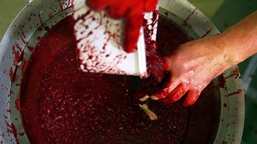Herstellung von Blutwürsten | Bild: BR