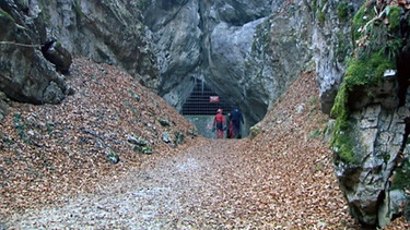 Der Eingang zur Kreuzhöhle | Bild: BR