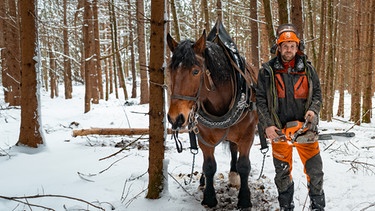 Bäne Hage, Bergmensch Staffel 11, mit Pferd Motorsäge und Pferd im winterlichen Wald | Bild: BR/Luis Trautmann
