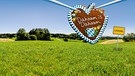 Grüne Wiese mit blauem Himmel. Darüber rechts das Lebkuchenherz zur Serie "Dahoam is Dahoam" sowie das Ortsschild "Lansing". | Bild: BR