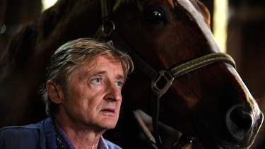 Dahoam is Dahoam. Xaver (Michael Schreiner) versucht, das Pferd ins mentale Gleichgewicht zu bringen. | Bild: BR/Marco Orlando Pichler