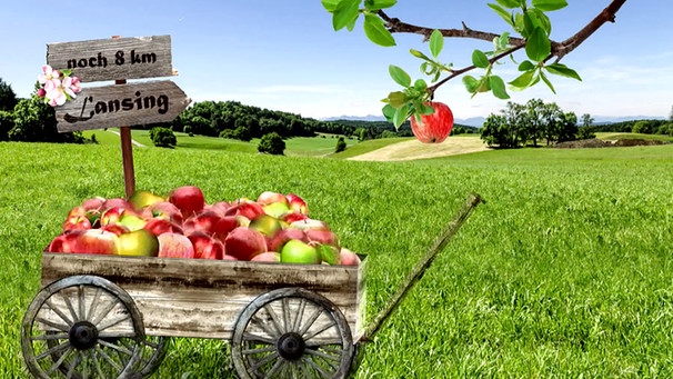 Bollerwagen mit Äpfeln | Bild: BR