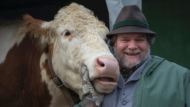Dahoam is Dahoam: Von links: Kuh mit Benedikt Stadlbauer (Andreas Geiss) | Bild: BR/Sandra Demmelhuber