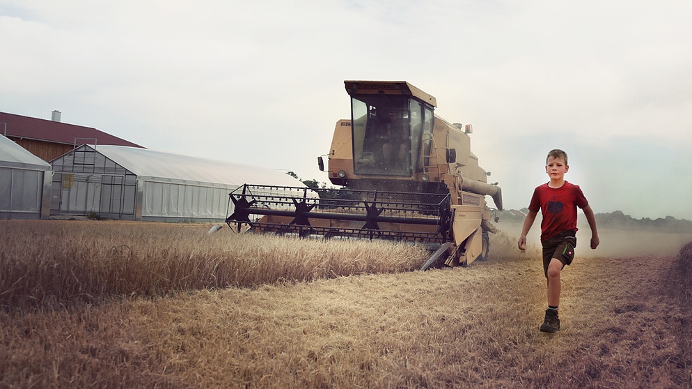Simon Pflügler läuft auf dem Feld neben der Erntemaschine, während die Braugerste gedroschen wird. | Bild: BR / Josef Häckler