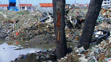 Müll in der Landschaft und Häuser im Rohbau | Bild: BR