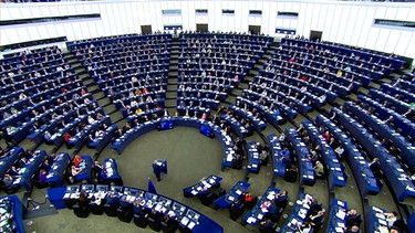 Der Plenarsaal des Europaparlaments in Straßburg | Bild: BR