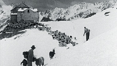 Hirten laufen mit Schafen durch ein Schneefeld auf eine Hütte zu | Bild: BR