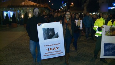 Demonstration von Tierschützern | Bild: BR