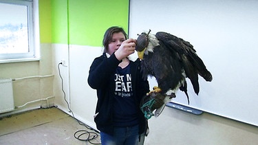 Sara Prezmeczky mit einem Raubvogel im Unterricht | Bild: BR