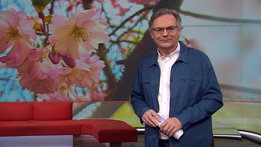 Moderator Charly Hilpert in der Frankenschau aktuell vom 21. März | Bild: BR