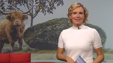 Moderatorin Julia Büchler moderiert die Frankenschau aktuell vom 6. November | Bild: BR