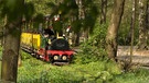 Bimmelbahn bei einer Fahrt durch den Tiergarten Nürnberg. | Bild: BR