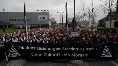 Teilnehmer an einer Kundgebung beim Bosch-Werk in Bamberg. | Bild: BR