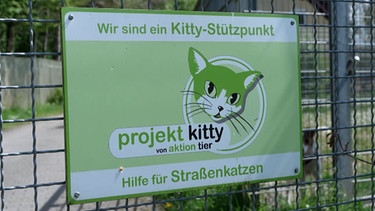 Das Schild vom Kitty Projekt vor dem Tierheim Neuhaus an der Aisch. | Bild: BR