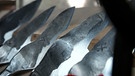 Krumme Messer von Hubert Hunstein. | Bild: BR