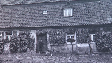 Historisches Foto eines Bauernhauses mit zum Trocknen aufgehängten Tabakblättern. | Bild: BR