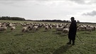 Ein Schäfer in der Rhön mit seiner Schafherde. | Bild: BR