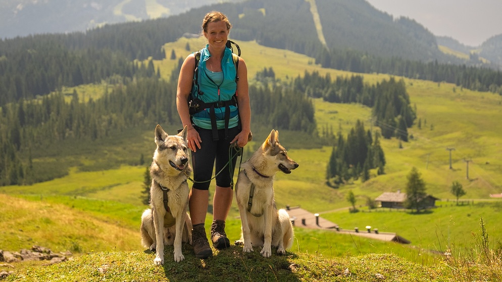 Mit Welpen und Hunden auf Bergtour | Bild: André Goerschel