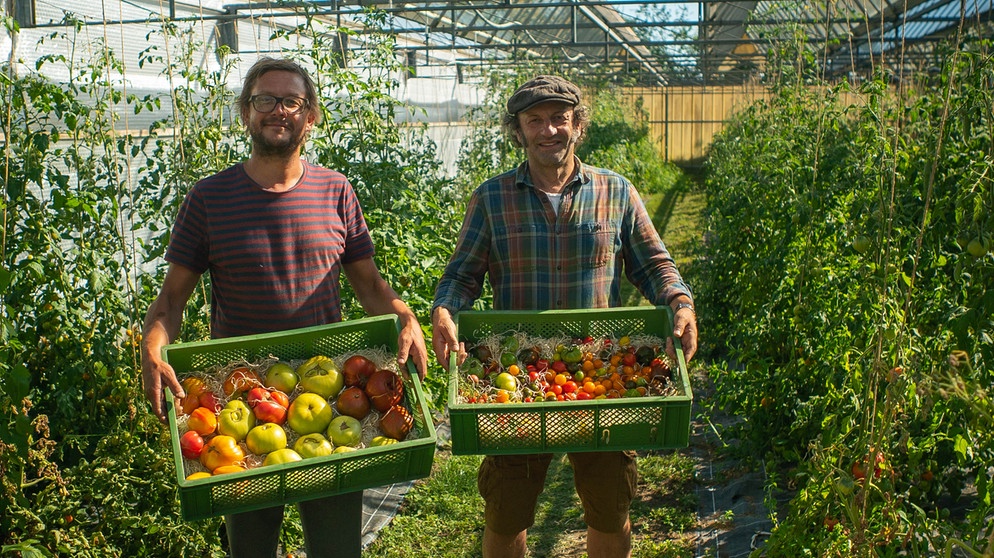 Schmidt Max und die Tomate | Bild: André Goerschel