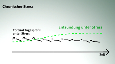 Studie zu Stress | Bild: BR/Bild: Vorlage Prof. Dr. Rohleder 