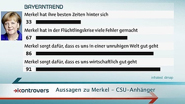 Umfrageergebnisse zur Arbeit von Kanzlerin Merkel - Parteianhänger | Bild: BR