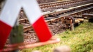Ein Signal stehen neben Gleisen an der zweigleisigen Bahnstrecke | Bild: picture alliance/dpa | Hauke-Christian Dittrich