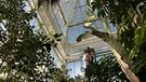 Janina Nottensteiner putzt Fenster im Botanischen Garten | Bild: BR