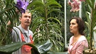 Orchideenspezialist Bert Klein und laVita-Moderatorin Janina Nottensteiner | Bild: BR