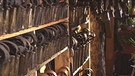 Glockensammler von Rinchnach | Bild: BR