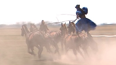 Reiter stehend auf mehreren Pferden | Bild: BR