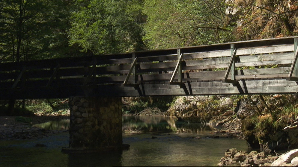 Eine Brücke über einen Bach | Bild: BR