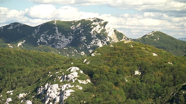Der Berg Veliki Risnjak im gleichnamigen Nationalpark | Bild: BR